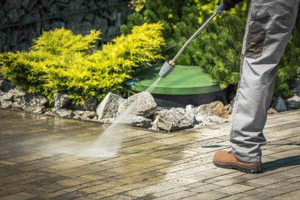 Best Dumpster Area Cleaning  in Necedah, WI