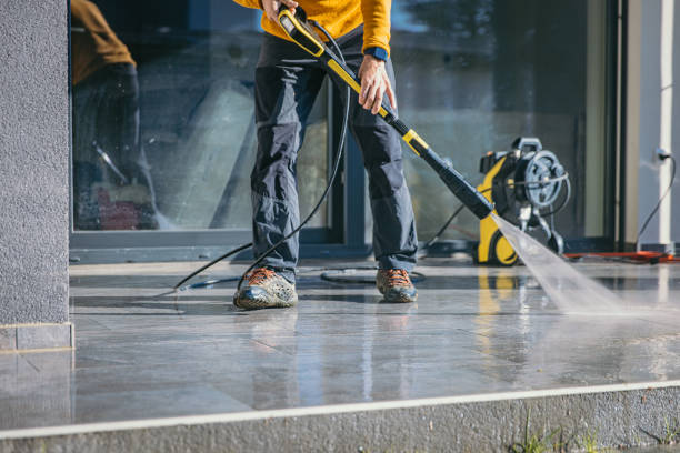 Best House Exterior Washing  in Necedah, WI